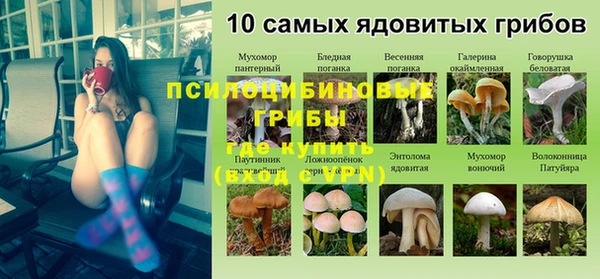 бутират Алексин