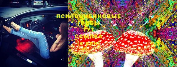прущие грибы Алзамай